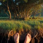 Grounding Techniques for PTSD Relief