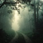 Emotional Flashbacks in CPTSD