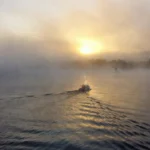 Coping with Emotional Flashbacks in CPTSD