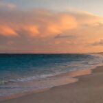 Managing Emotional Flashbacks in CPTSD