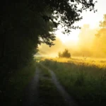 Delayed-Onset PTSD Explained