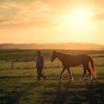 Equine Therapy for PTSD Recovery